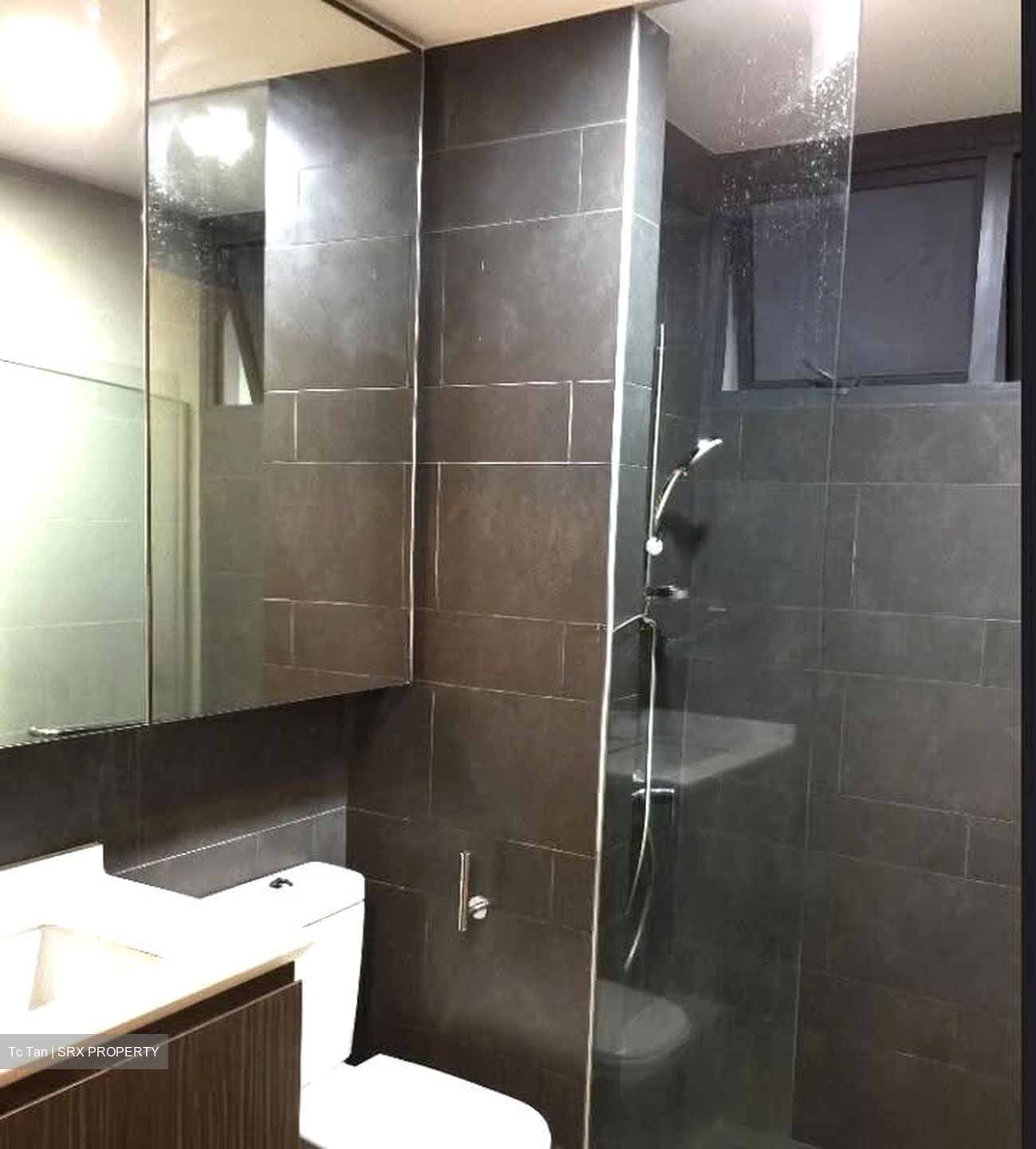 Parc Olympia (D17), Condominium #637366611